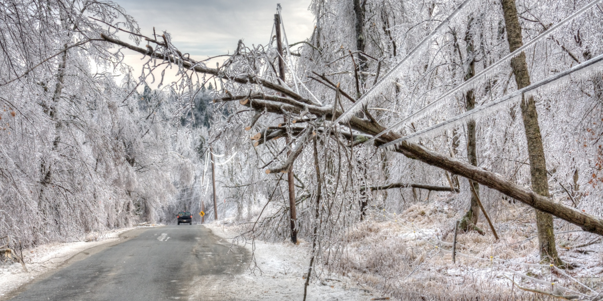 Navigating Disaster with FHLBank Indianapolis' Disaster Relief Program